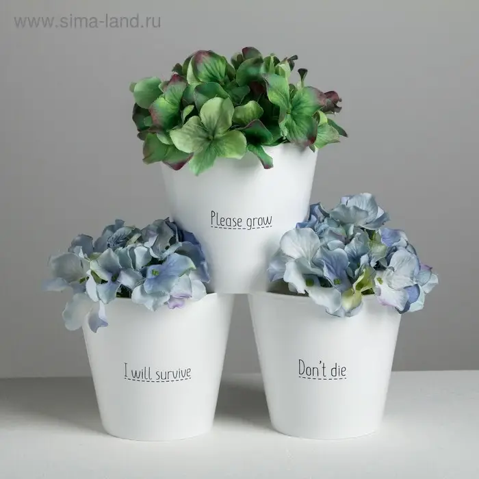 Набор кашпо 3 в 1 Please grow, 0,8 л, 11 х 12 см