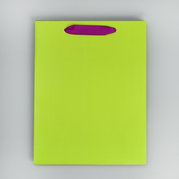 Пакет подарочный двухцветный, упаковка, &laquo;Салатовый-сиреневый&raquo;, MS 18 х 23 х 10 см