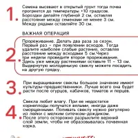 Семена Свёкла "Мулатка", 2 г