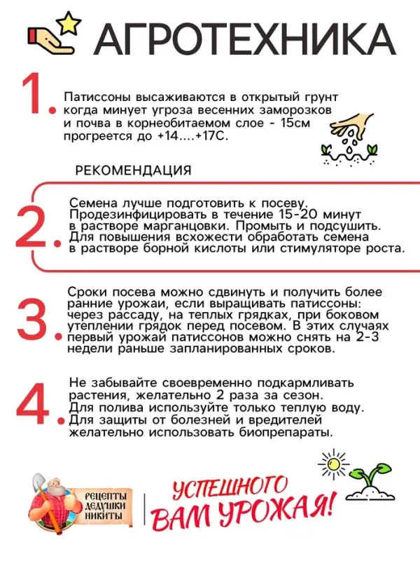 Семена Патиссон "Солнышко", 0,5 г