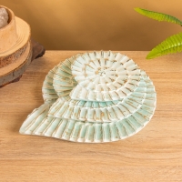 Набор сувенирный &laquo;Ракушки&raquo;, 30 см, 22 см, 17 см, дерево, бирюзовый