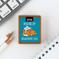 Значок в коробочке &laquo;Магистр сна&raquo; 5 х 4 см
