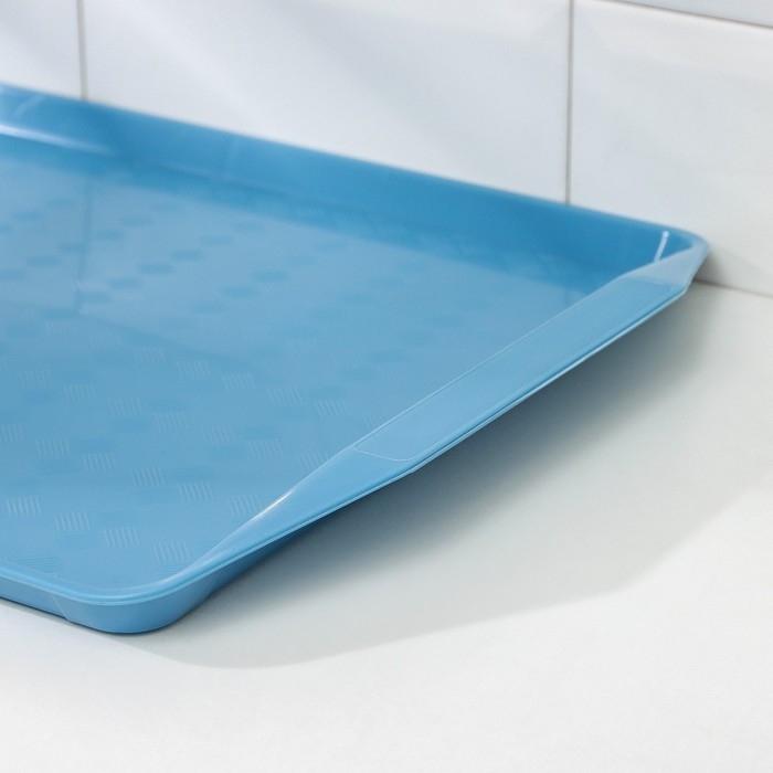 Поднос &laquo;Дональд&raquo;, 43&times;30 см, цвет МИКС