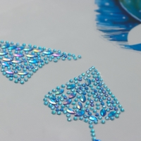 Наклейка пластик стразы "Крыло бабочки и перо" 16х17 см