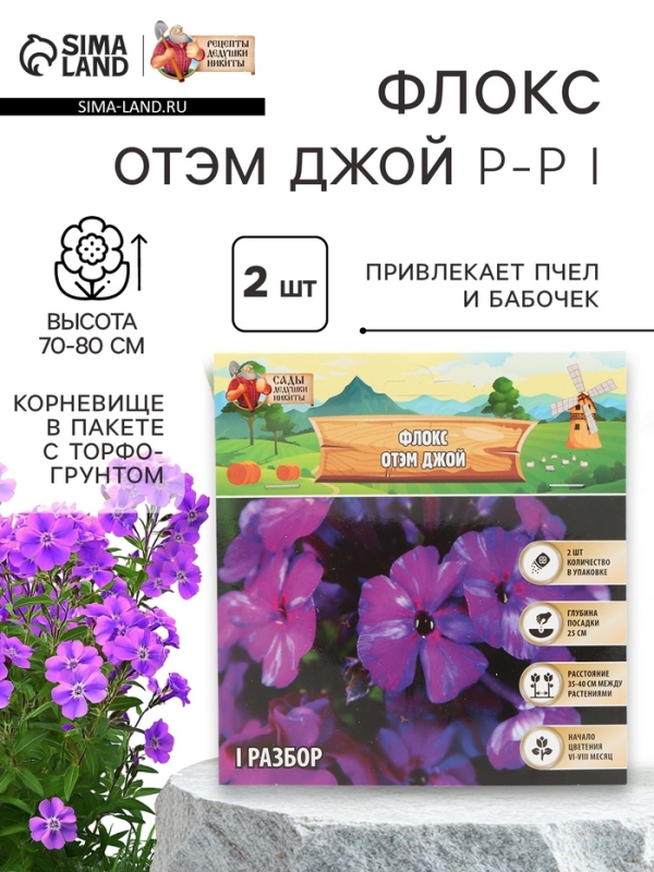 Флокс &laquo;Отэм Джой&raquo; корневище в пакете с торфогрунтом, р-р I, 2 шт.