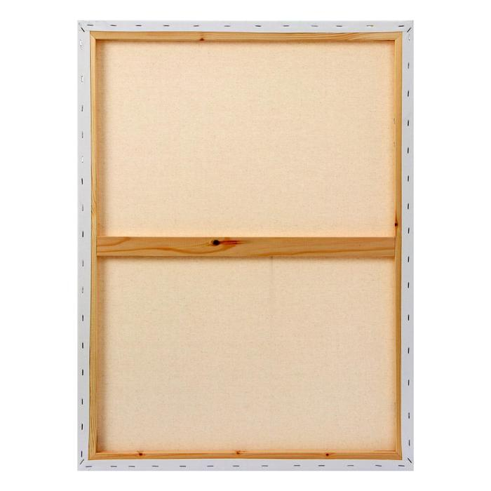 Холст на подрамнике, хлопок 100%, 60 х 80 х 2 см, акриловый грунт, мелкозернистый "Студия"