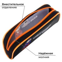 Пенал мягкий, 1 отделение, 80 х 210 х 40 мм, объёмный, Calligrata ПМО 21-20, "Тигр"