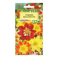 Семена цветов Георгина "Коларетте", ц/п,   0,2 г