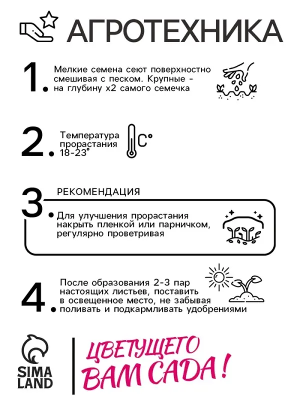 Семена цветов Катарантус "Пацифика Априкот", 7 шт