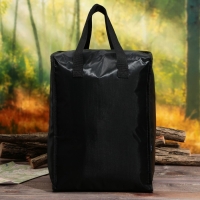 Термосумка &laquo;На рыбалке&raquo;, 25 л