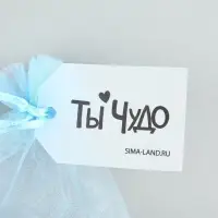 Мешочек подарочный из фатина с термонаклейкой &laquo;Ты чудо&raquo;, 11 х 16 см +/- 1.5 см