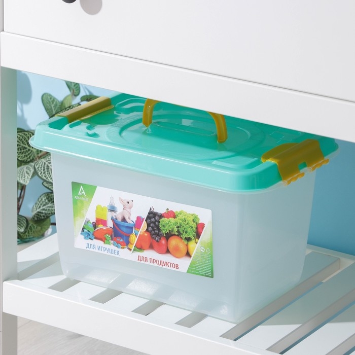 Бокс универсальный для игрушек и продуктов, 10 л, 35,9&times;24,2&times;21,1 см