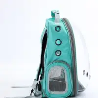 Рюкзак для переноски животных прозрачный, 31 х 28 х 42 см, бирюзовый