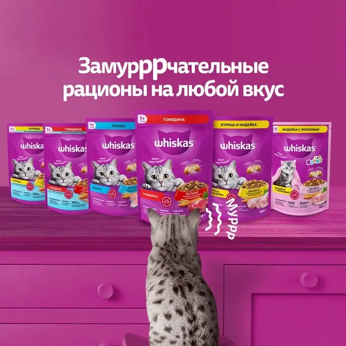 Сухой корм Whiskas для кошек, лосось, подушечки, 1,3 кг