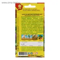 Семена Капуста цветная "Лиловый шар", среднеспелая, 0,15 г