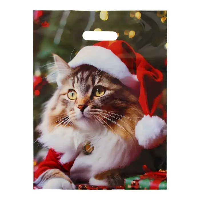 Пакет "Новогодний Мур", полиэтиленовый с вырубной ручкой,гл 40 х 31 см.