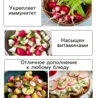 Семена Редис "Жара", 2 г