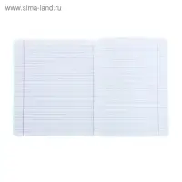 Тетрадь 12 листов узкая линейка &laquo;Зелёная обложка&raquo;, с алфавитом, термоупаковка, фасовка по 25 шт.