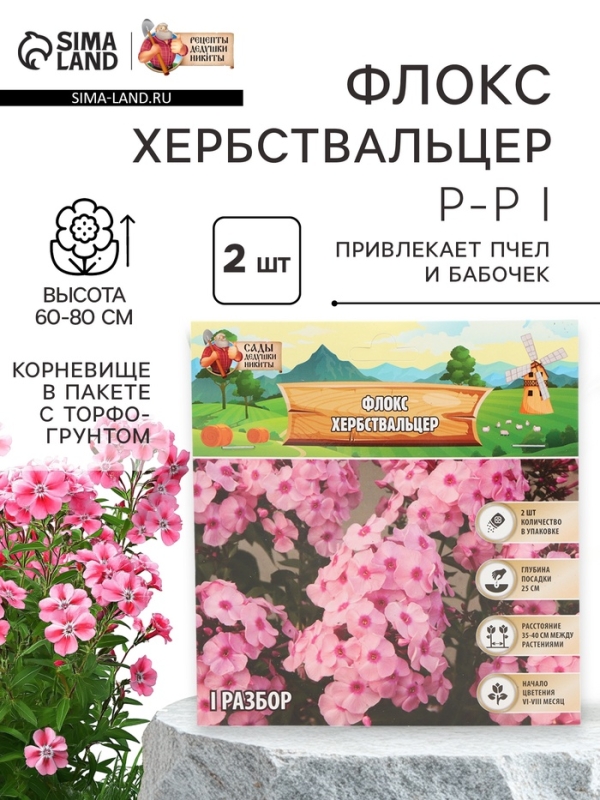 Флокс &laquo;Хербствальцер&raquo; корневище в пакете с торфогрунтом, р-р I, 2 шт.