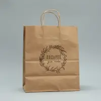 Пакет подарочный крафтовый, упаковка, &laquo;Подарок для тебя&raquo;, 24 х 28 х 14 см