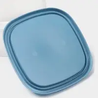 Контейнер пищевой SparkPlast BioFresh, 500 мл, пластик, прозрачный, крышка микс