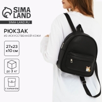 Рюкзак школьный из искусственной кожи с карманом &laquo;Корги&raquo; 27х23х10 см