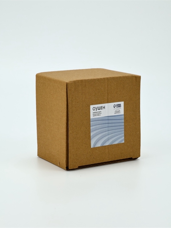 Чайная пара Dolce Ceramo. &laquo;Оушен&raquo;, 2 предмета: кружка 200 мл, блюдце d=10 см