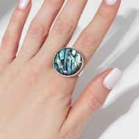 Кольцо &laquo;Галиотис&raquo; круг, безразмерное