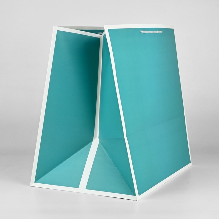 Пакет для цветов &laquo;Подарок&raquo;, 42 х 44 х 32 см