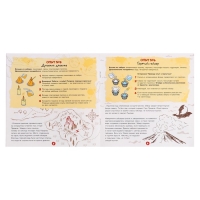 Набор опытов &laquo;Тайны дракона&raquo;, 8 опытов