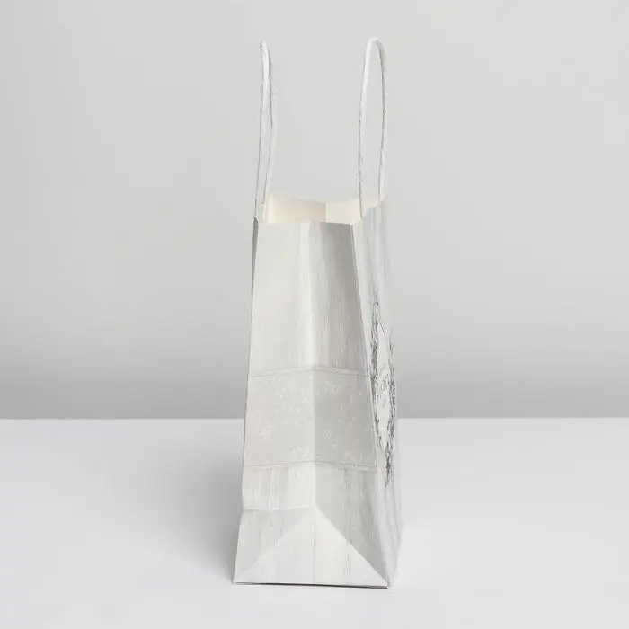 Пакет подарочный новогодний крафтовый &laquo;С Новым годом!&raquo;, 12 х 21 х 9 см