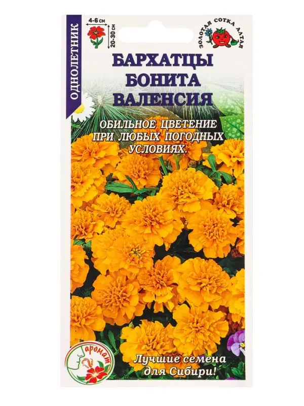 Семена Бархатцы Бонита Валенсия /Сотка/ 0,2г/ откл. 30см, d-6см/*1200