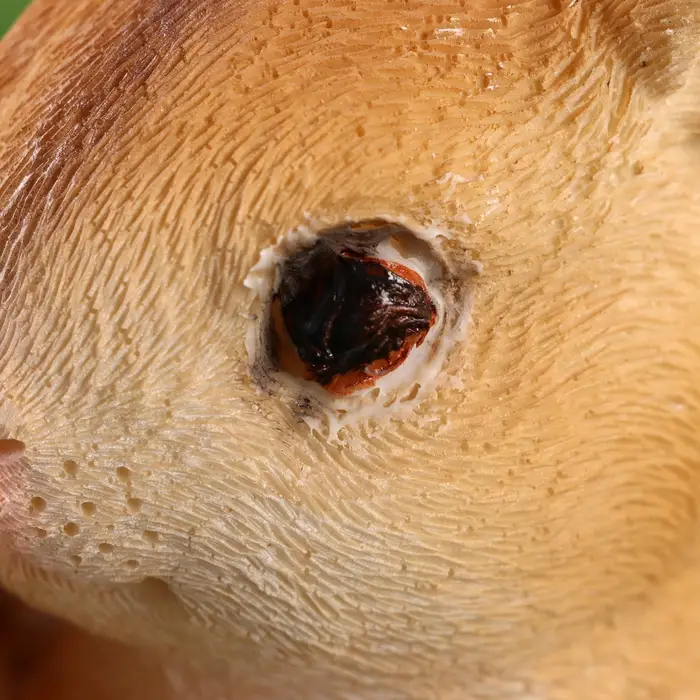 Фигурка "Семья зайцев" 11х15х23см ///