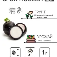 Семена Редька "Зимняя круглая чёрная", среднеспелая, 1 г