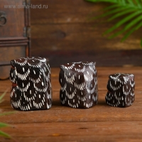 Сувенирный набор дерево "Совы с перьями"*(3 шт) 6х19х8 см