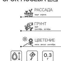 Семена Астра Принцесса Кристина 0.3г*
