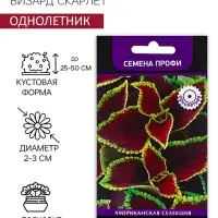 Семена цветов Колеус Визард Скарлет, 10шт