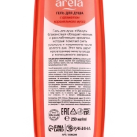 Гель для душа женский &laquo;Минуты блаженства&raquo;, 250 мл, аромат карамельного мусса, ARELA