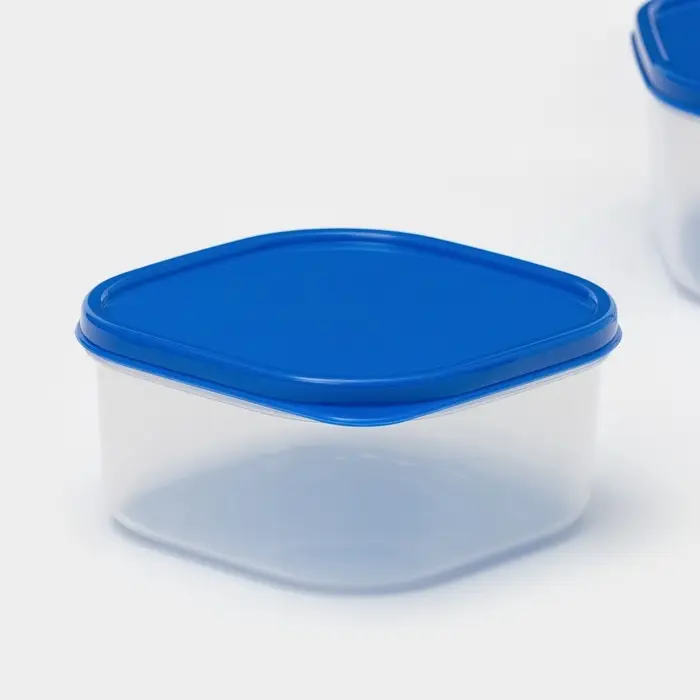 Набор контейнеров пищевых Доляна, квадратных, 2 шт: 450 мл, 700 мл, цвет голубой