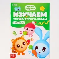 Книги &laquo;Годовой курс&raquo;, набор 12 книг, Малышарики