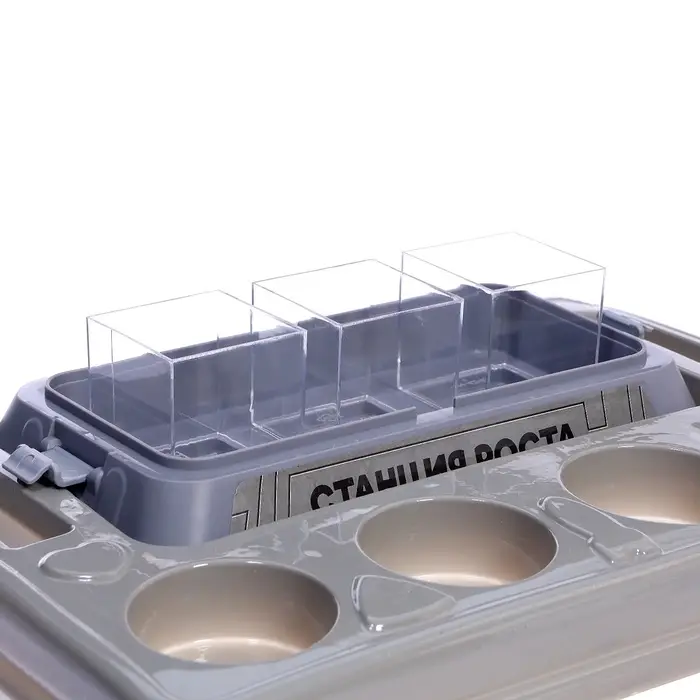 Набор для опытов &laquo;Моя мини-ферма&raquo;, выращивание растений, в космосе