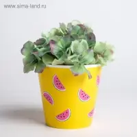 Набор кашпо для цветов 3 в 1 &laquo;Фрукты&raquo;, 0,8 л, 11 х 12 см