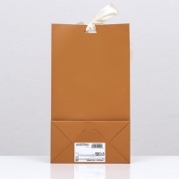 Пакет подарочный с лентой &laquo;Коричневый&raquo; 13 х 23 х 7 см, 1 шт.