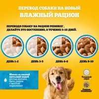 Влажный корм Pedigree для собак, говядина в соусе, пауч, 85 г