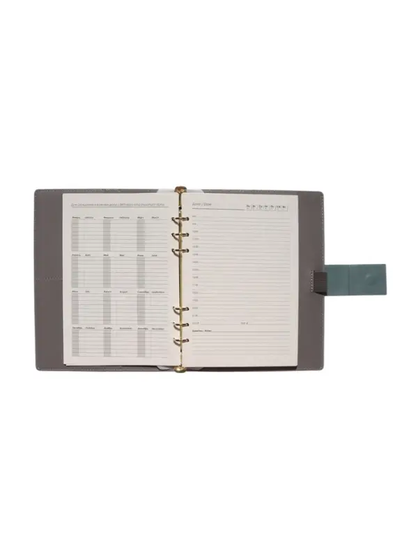 Органайзер на кольцах, А5, с хлястиком, 80л, линия, к/зам, Зеленый