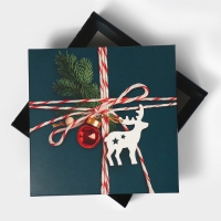 Коробка новогодняя складная &laquo;Новогодняя посылка&raquo;, 26 х 26 х 8 см, Новый год