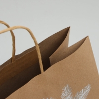 Пакет подарочный новогодний крафтовый &laquo;Волшебство&raquo;, 32 х 28 х 15 см, Новый год