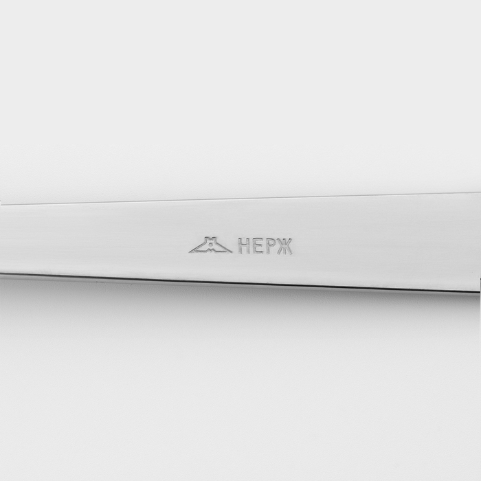 Ложка столовая &laquo;Аппетит&raquo;, длина 19,5 см, толщина 2 мм, цвет серебряный