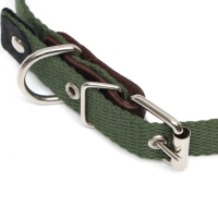 Ошейник брезентовый однослойный, 52 х 2 см, ОШ 25-45 см, тёмно-зелёный
