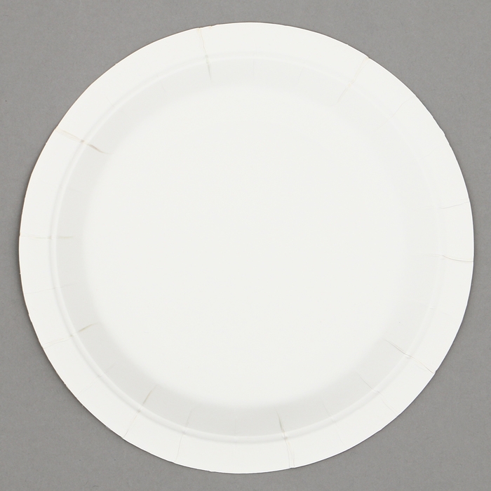 Тарелки бумажные &laquo;Светлой Пасхи&raquo; с кроликами, 6 шт